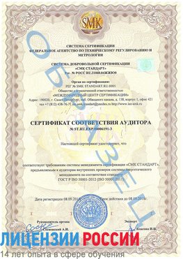 Образец сертификата соответствия аудитора №ST.RU.EXP.00006191-3 Пикалево Сертификат ISO 50001